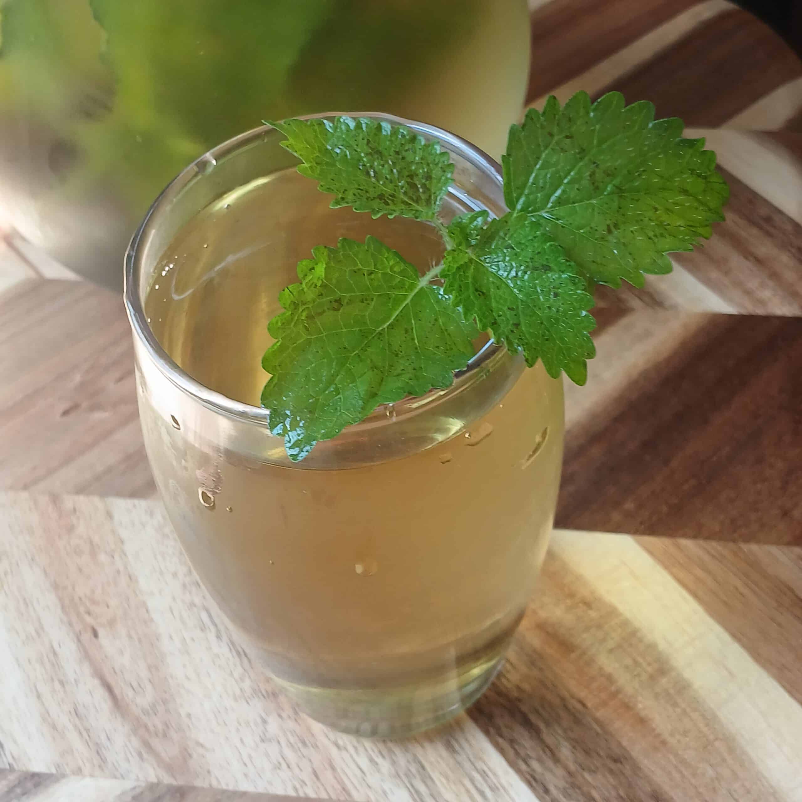 green tea with lemon balm sprig
