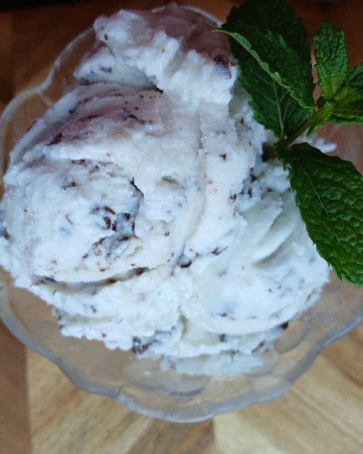 mint chocolate chip ice cream in glass dish with mint leaves